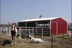 horsebarn